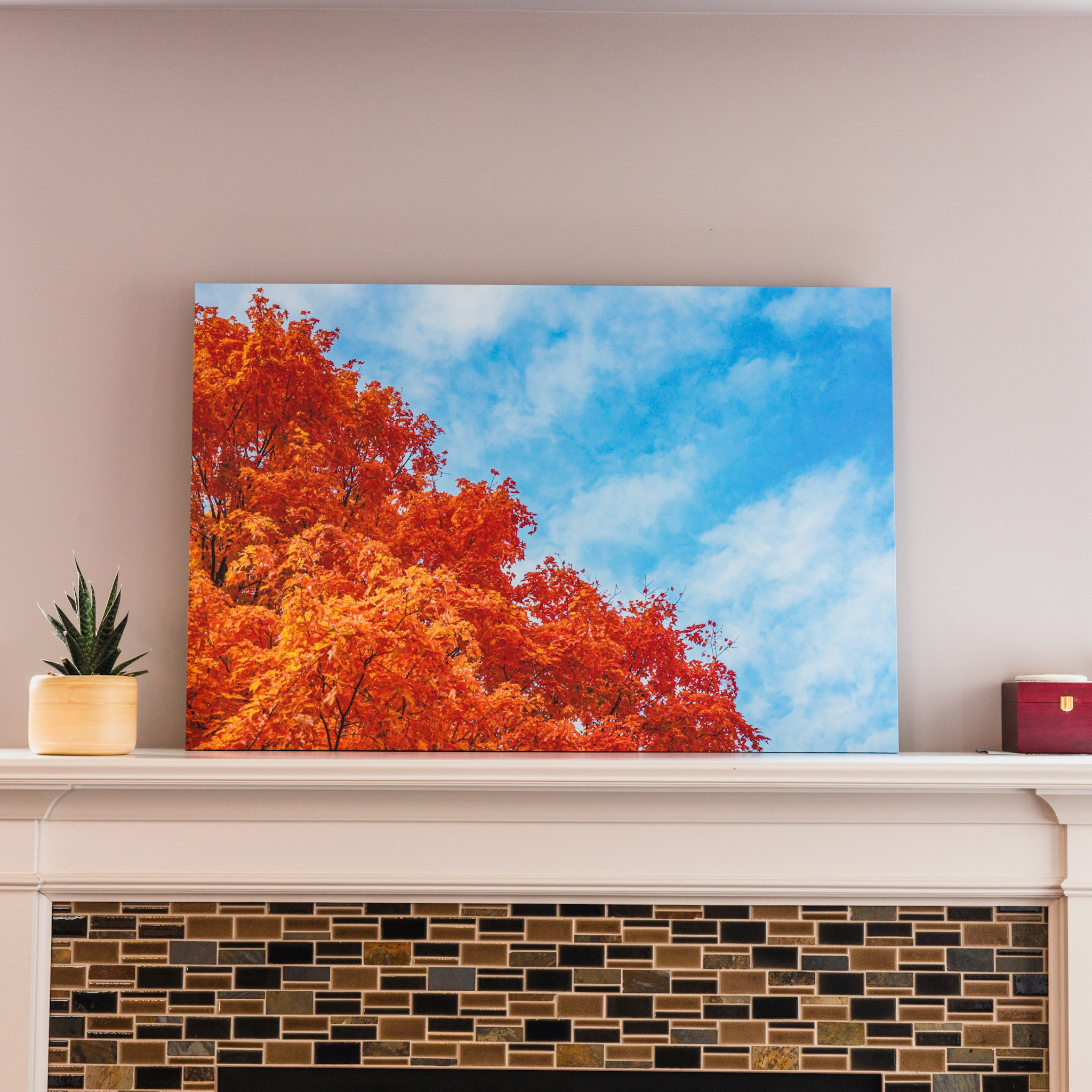32”x48” Stretched Canvas - Autumn